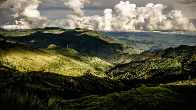 Café y sostenibilidad