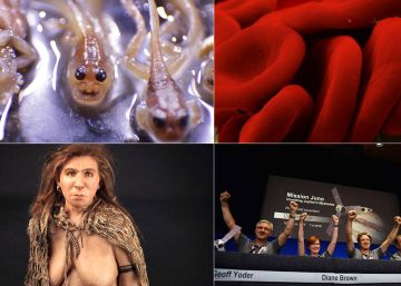 Test de actualidad | ¿Cuánto sabes de lo que ha pasado en 2016 en Ciencia?