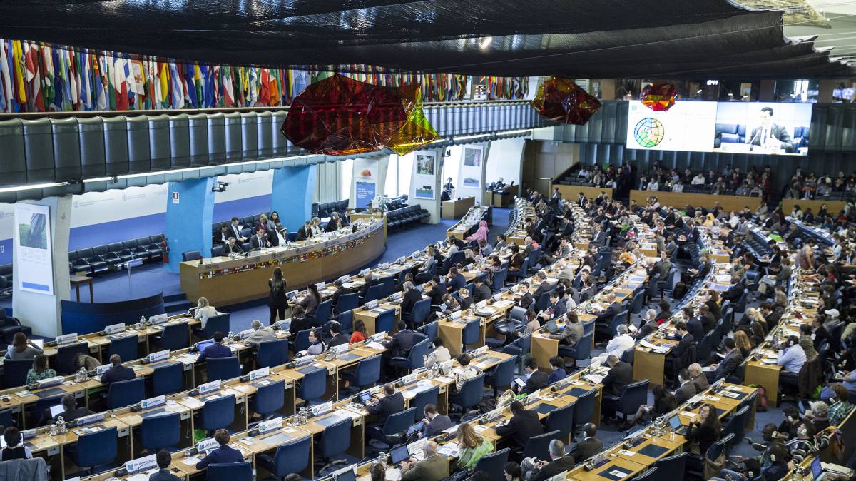 Todos juntos llegamos más lejos