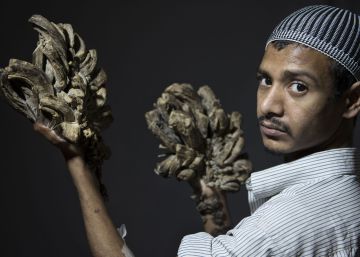 El hombre árbol y las otras 10 historias más leídas de Planeta Futuro