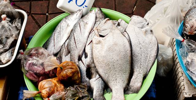 La alimentaci&oacute;n es la principal fuente de los t&oacute;xicos que se miden con la biomonitorizaci&oacute;n