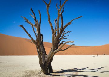 12 meses, 12 destinos recomendables para 2017