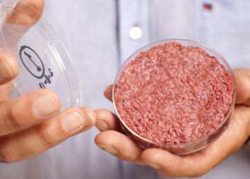 La revolución de la ‘carne cultivada’ que puede acabar con el hambre en el mundo