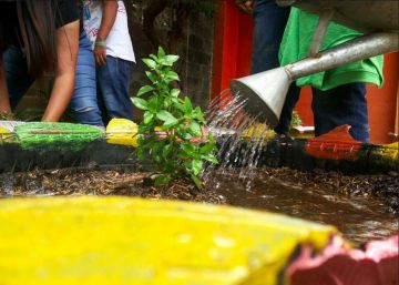 La difícil apuesta de Nicaragua por rescatar sus bosques