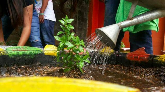 La difícil apuesta de Nicaragua por rescatar sus bosques