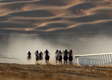 Caballos con sus respectivos jinetes galopan durante el Festival de los deportes, en Liwa (Emiratos &Aacute;rabes Unidos).