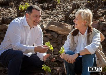 Portada del libro 'Tras las vi&ntilde;as: un viaje al alma de los vino'. 