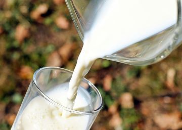 &iquest;Tomamos suficiente calcio?