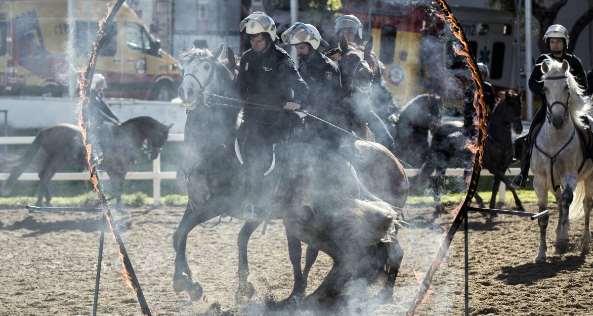 La Unidad de Caballería de la Policía Nacional en Madrid cuenta con 111 agentes y 86 equinos.