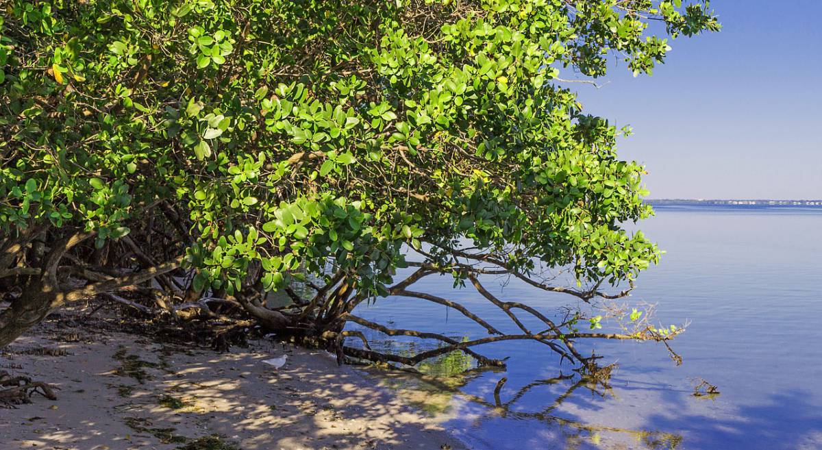 As&iacute; podr&iacute;a ser el rinc&oacute;n de la playa donde aparecen los dos cad&aacute;veres de este crimen ficticio