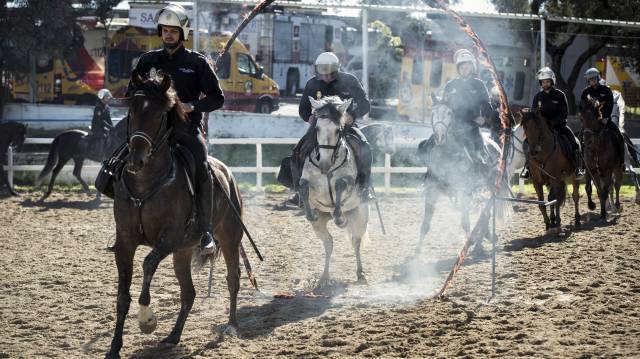 La Unidad de Caballería, entrenando en la Casa de Campo.