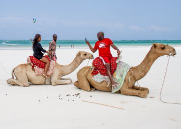 La sostenibilidad, el ‘leit motiv’ de la 37ª edición de Fitur