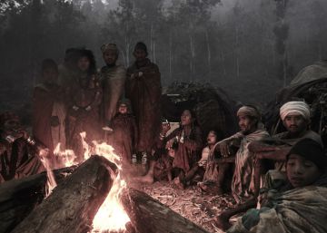 Los reyes de los bosques del Himalaya