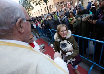 Una multitud hace cola para bendecir a sus mascotas por San Ant&oacute;n.
