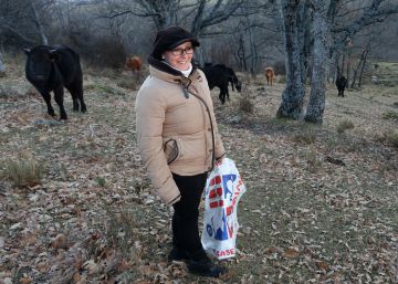 Charo Manteca, ganadera, con sus vacas en Valsa&iacute;n.