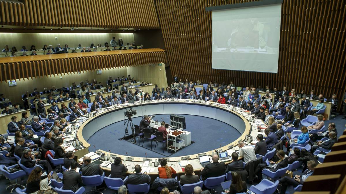 ¿Hacia dónde se dirige la Organización Mundial de la Salud?