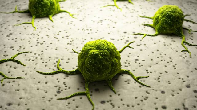 Células cancerosas.