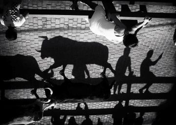 Las mejores imágenes del concurso de fotografía #MiMejorFoto