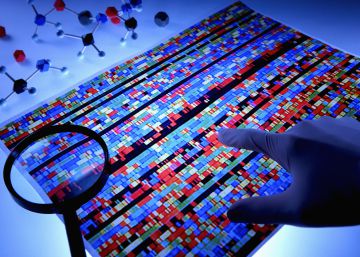 Representaci&oacute;n de una secuencia de ADN de una persona.rn rn 