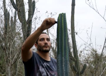El chef ecuatoriano Rodrigo Pacheco. 