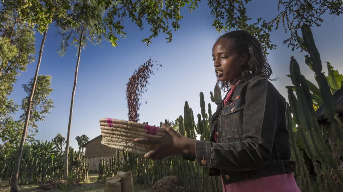 Miles de millones para transformar el campo