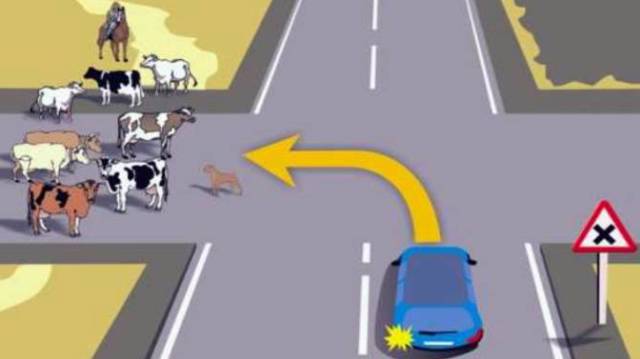 ¿Volverías a aprobar el examen teórico del carné de conducir?