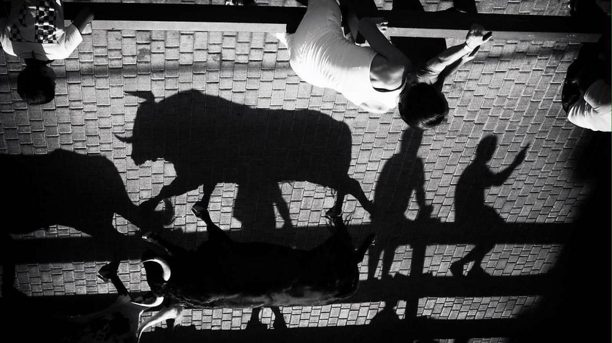 Mario del Monte @fotomme