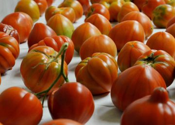 Frankenstein se despide de ustedes