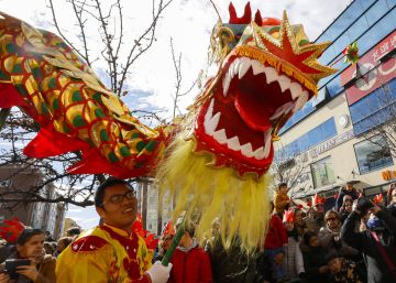 El Gallo de Fuego Rojo canta en Madrid