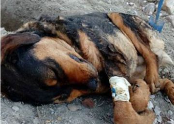 El día en el que mataron a tiros a mis cinco amigos