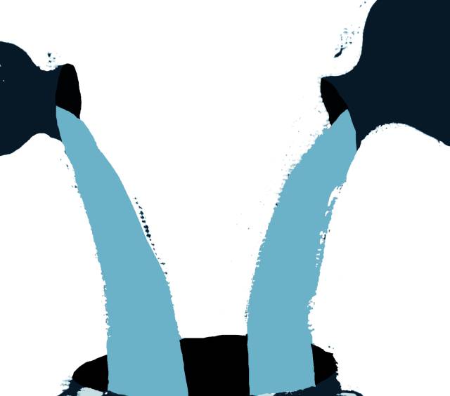 Crisis constitucional e imaginación