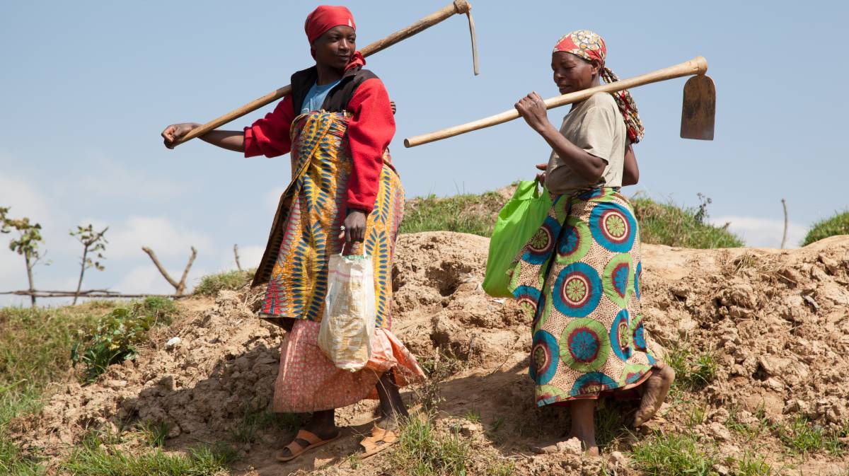 Cómo aliviar la sequía en África