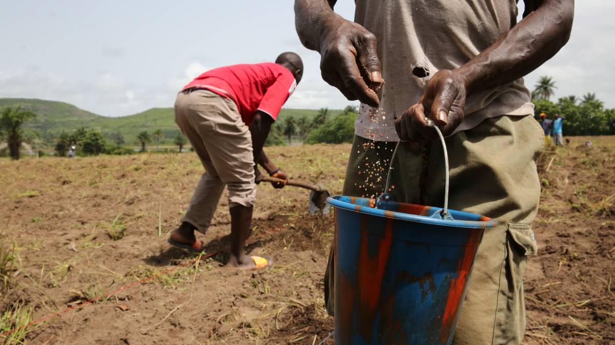 El Tratado sobre Semillas va en contra de la ciencia