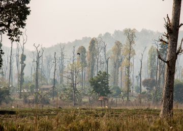Asentamiento humano en las cercan&iacute;as del parque nacional Chitwan, Nepal.