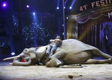 Por un circo con animales