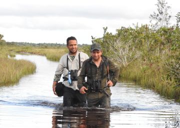 Tengamos el turismo en paz