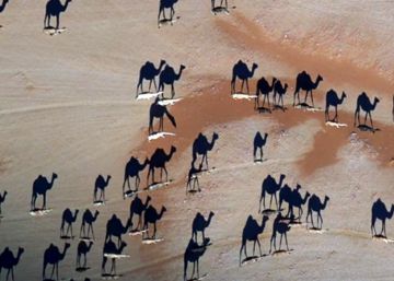 Las otras fotos aéreas del autor de la adivinanza de los camellos que circula por WhatsApp