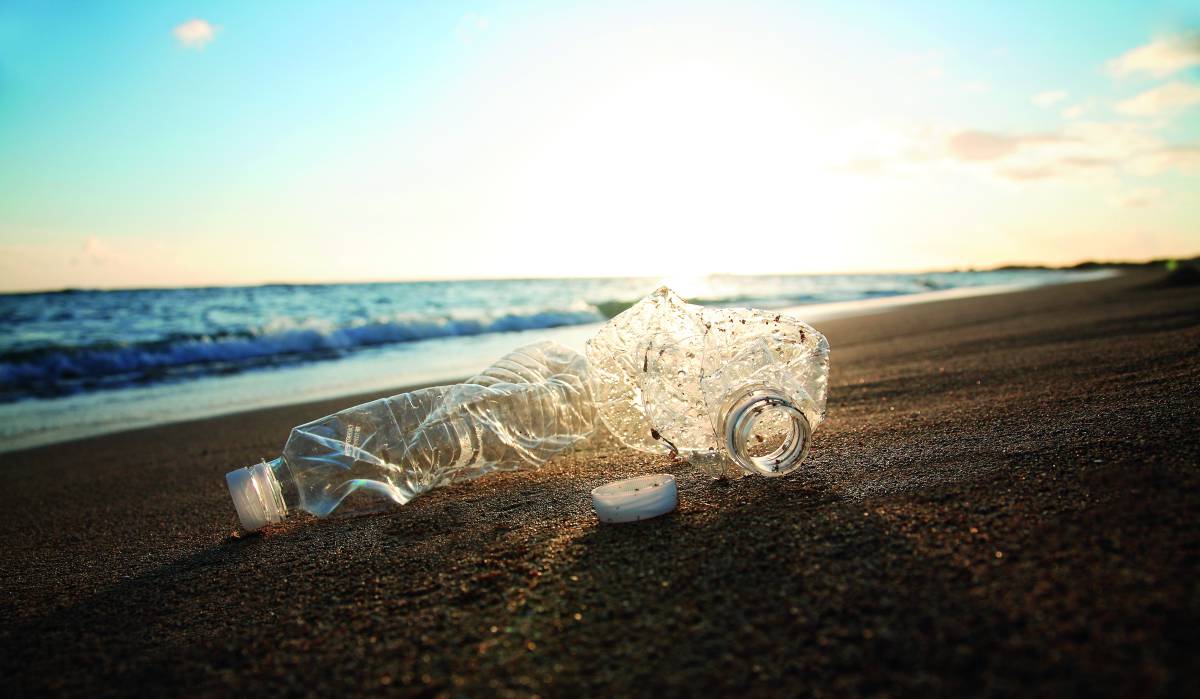 Podría estar comiendo plástico y no saberlo