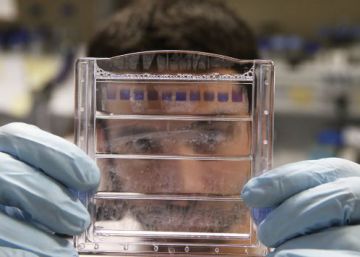 Un investigador del CSIC. 