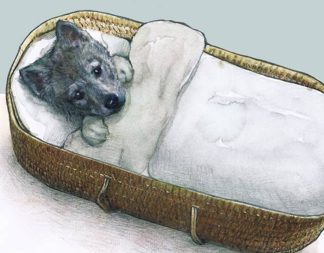 El lobo es un hombre para el hombre