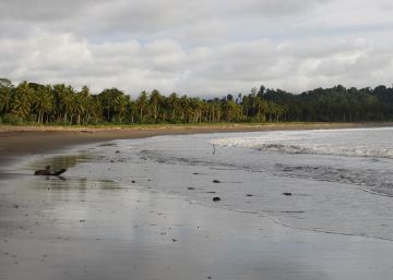 Playa de Jurubir&aacute; a la que llegan 'pacas' de droga durante la madrugada. 