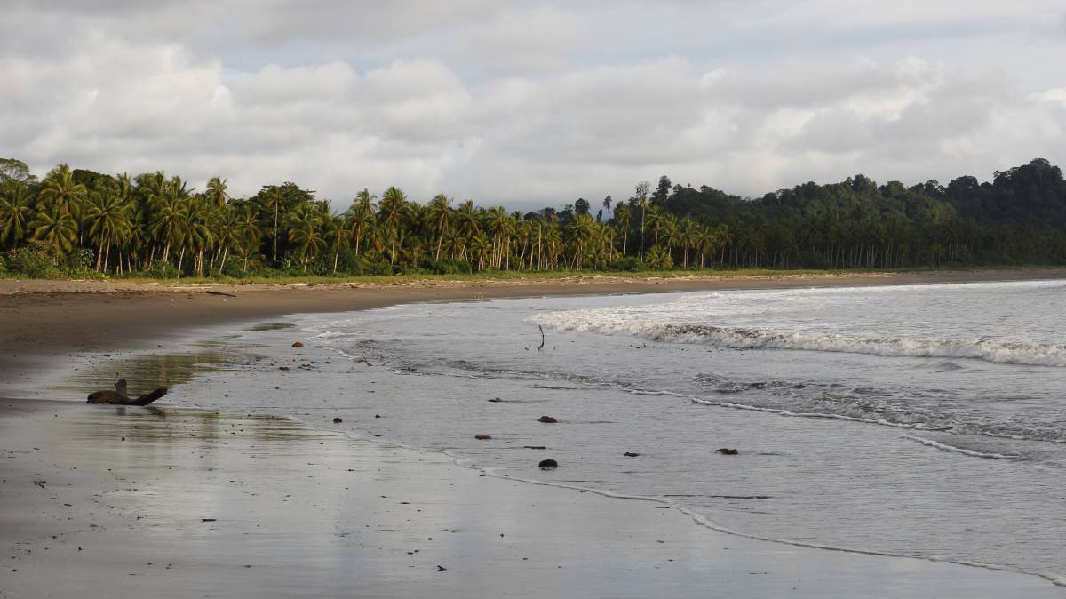 Cocaína que trae el mar