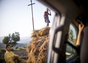 "Compartir labor, sin uno ser más que el otro. Un sólo objetivo, un único fin".  Un hombre y una mujer cargan un carromato con paja el ganado en una zona rural de Pauvathok, Nepal.