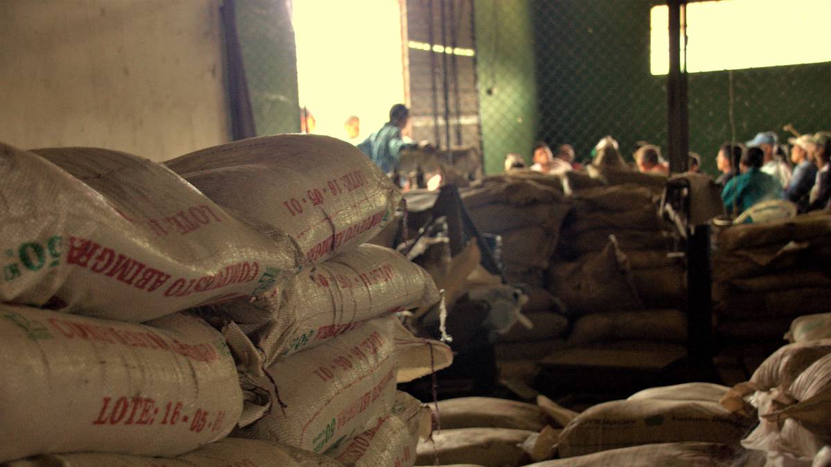 A este tigre no le gusta el aceite de palma