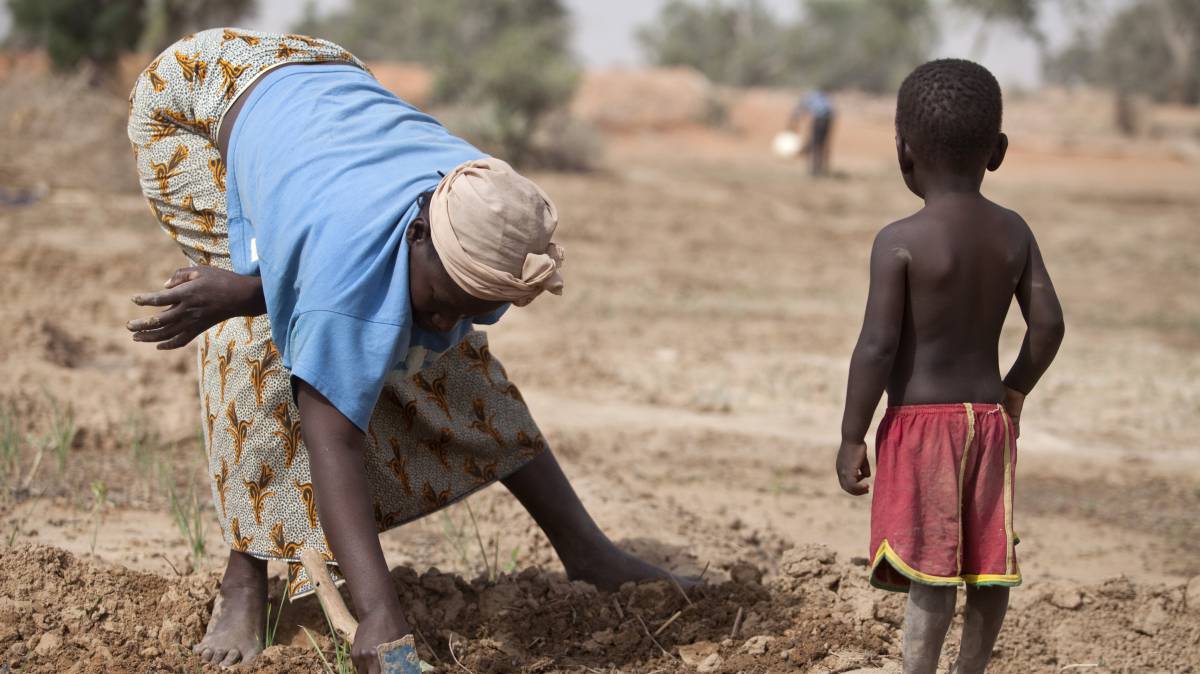 El hambre infantil, un drama sin resolver