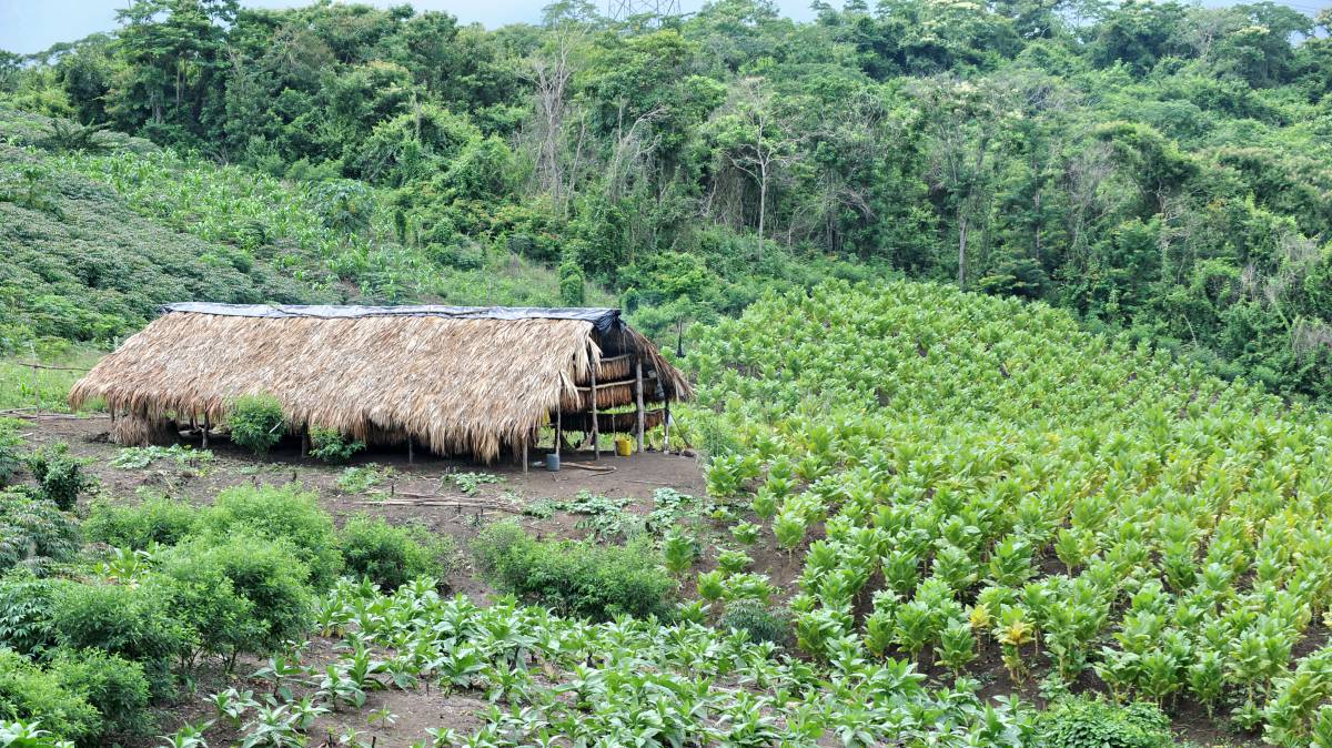 Construyendo la paz en Colombia desde El Salado