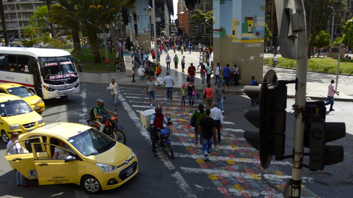 Cebras de colores contra atropellos