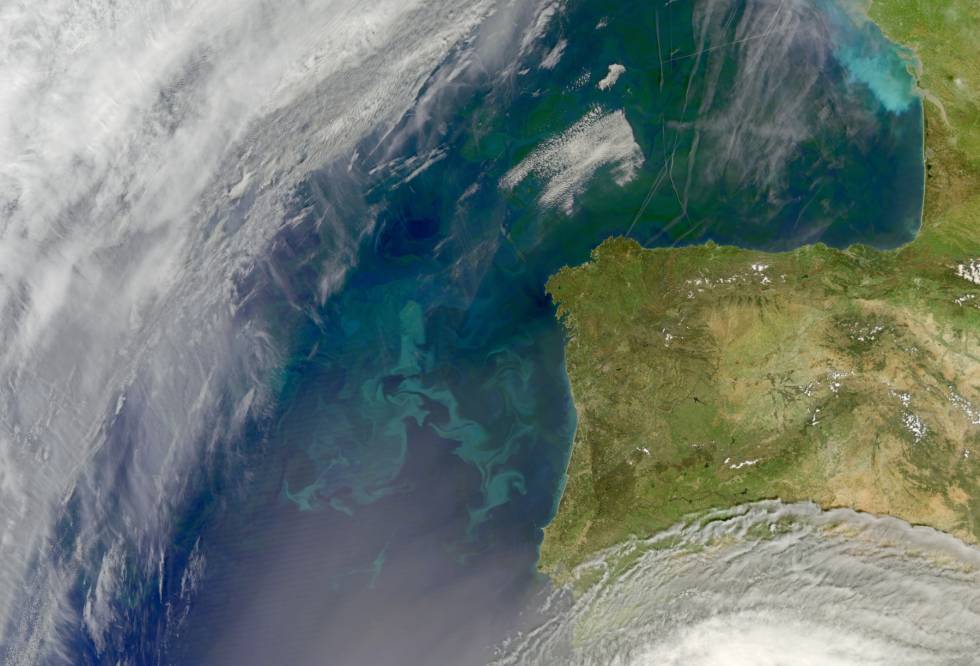 Explosión de fitoplancton frente a las costas de la península ibérica y, al norte, en el golfo de Vizcaya.