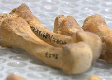 Un secreto sobre la lepra que ha dormido mil años