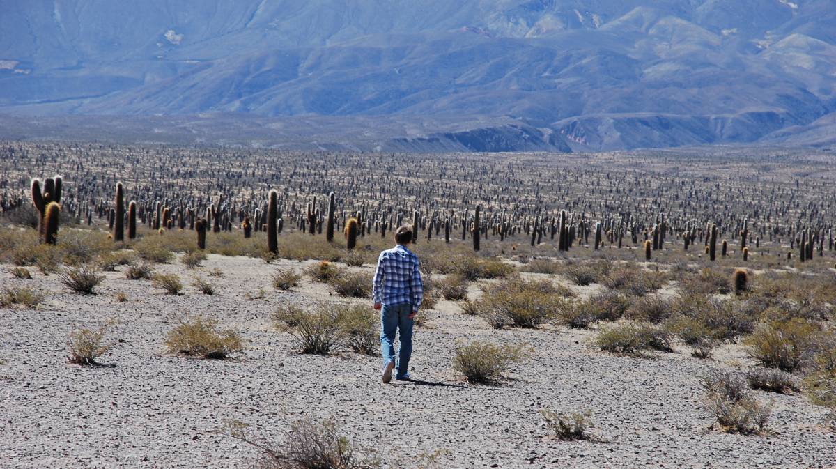 ¿Cómo pueden los impuestos ayudar a combatir el cambio climático?